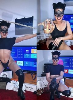 Misstress Yve-HARD-Top Ladyboy,VIP - Transsexual dominatrix in Dubai Photo 15 of 15