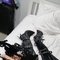 Top domina. MEET UP AND CAMS SHOW . - Transsexual dominatrix in Bangkok Photo 1 of 30