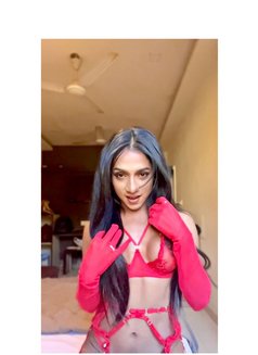 Misti Roy - Acompañantes transexual in Ahmedabad Photo 30 of 30