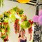 Mistress Adaa - Transsexual escort in Noida