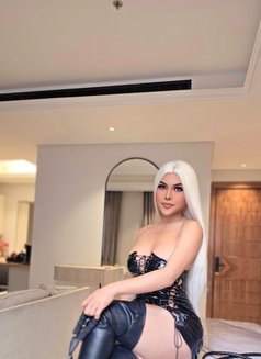 Mistress Alice VVVIP - Acompañantes transexual in Riyadh Photo 12 of 12