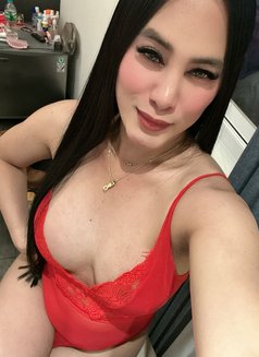 Mistress amira Bdsm Cim/ Top Hard Cum - Transsexual escort in Tainan Photo 27 of 30