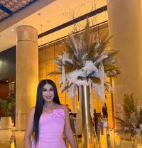 Mistress ashleydoll🇵🇭strong poppers - Transsexual escort in Dubai