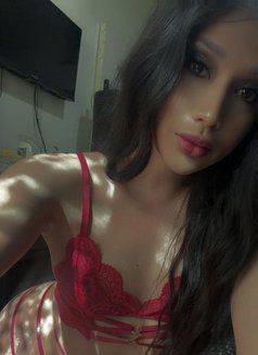Mistress ashleydoll🇵🇭strong poppers - Transsexual escort in Dubai Photo 11 of 11