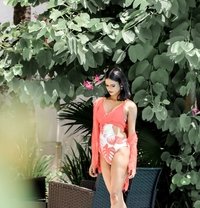 Barbie Tara dominatrix TS - Transsexual escort in Colombo