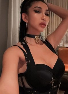 Mistress Bella - escort in Kuala Lumpur Photo 7 of 9