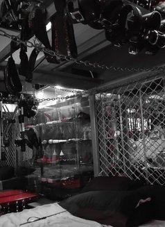 Mistress Betty - escort in Perth Photo 3 of 6