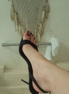 Dominatrix Catherine - dominatrix in Singapore Photo 6 of 6