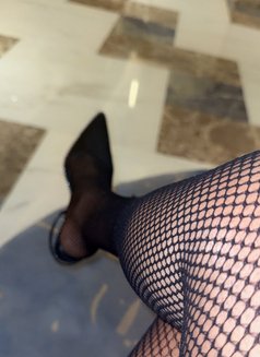 Mistress Diamond Olivia (Bdsm Queen) - Dominadora in Dubai Photo 15 of 16