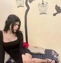 Mistress Diana - Transsexual escort in Noida