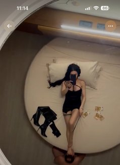 Mistress dominant الملكة جوديا - puta in Abu Dhabi Photo 18 of 18