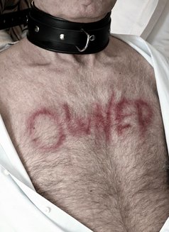 Mistress Elsa - dominatrix in Montpellier Photo 5 of 6