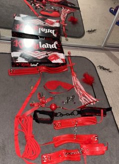 Mistress Elsa - escort in Zürich Photo 1 of 11