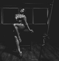 Mistress Eris from Africa - Transsexual escort in Doha