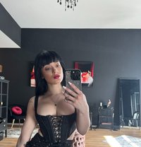 Mistress Felina - dominatrix in Albufeira