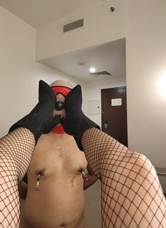 Mistress Tasha BDSM - dominatrix in Dubai Photo 9 of 30