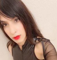 MISTRESS ISHANI - Acompañantes transexual in Bangalore