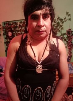 Mistress Jannat - Acompañantes transexual in Gurgaon Photo 2 of 29