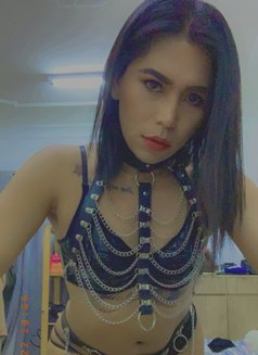 Mistress Jessie - Transsexual adult performer in Riyadh Photo 15 of 15