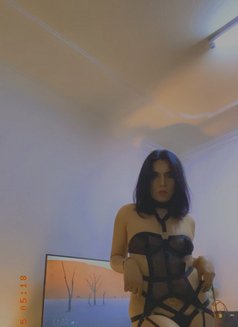 Mistress Jessie - Transsexual adult performer in Riyadh Photo 16 of 16