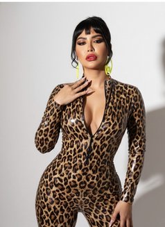 Mistress Jiji 🇱🇧🇱🇧🇱🇧 - Acompañantes transexual in Beirut Photo 23 of 27