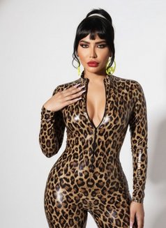 Mistress Jiji 🇱🇧🇱🇧🇱🇧 - Acompañantes transexual in Beirut Photo 24 of 27