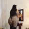 Mistress Kari - escort in Dubai Photo 3 of 5