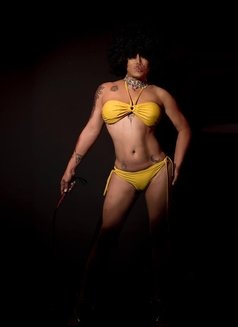 Mistress Katarina Park - Transsexual escort in Khobar Photo 7 of 25