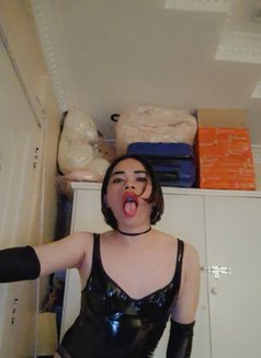 Mistress Katrina - Transsexual escort in Riyadh Photo 6 of 7