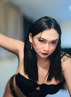 MISTRESS KATYA ( ice ) - Acompañantes transexual in Bangkok Photo 23 of 28
