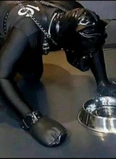 Mistress with no limits - dominatrix in Doha Photo 3 of 3