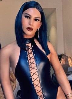well hung camshows/videos vip mistress - Transsexual escort in Kuala Lumpur Photo 16 of 29