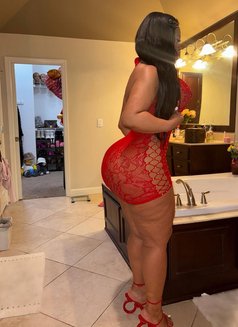 Mistress Laura - escort in Doha Photo 9 of 10