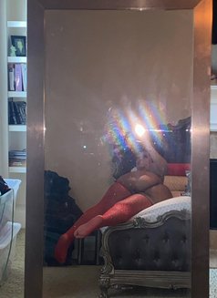 Mistress Laura - escort in Doha Photo 10 of 10