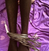 Mistress Lili I’m Back - escort in Hamilton, Canada