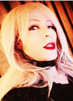 Mistress Mallone - Transsexual dominatrix in Pattaya Photo 4 of 10
