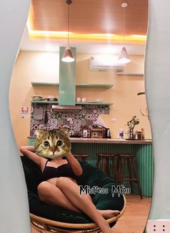 Mistress Mèo - dominatrix in Hanoi Photo 3 of 5