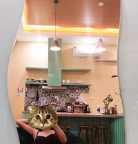 Mistress Mèo - dominatrix in Hanoi