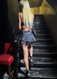 Mistress Mishelle - dominatrix in Tel Aviv Photo 27 of 29