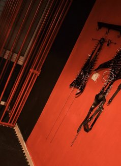 Mistress Mishelle - Dominadora in Tel Aviv Photo 22 of 22