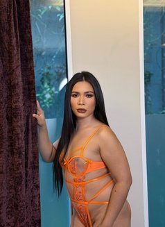 Monica big cock ready fuck - Acompañantes transexual in Bangkok Photo 6 of 13