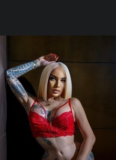Mistress Monica - Transsexual escort in Dubai Photo 30 of 30