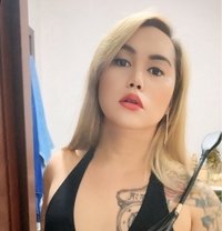 MISTRESS NATTACHA - Transsexual escort in Khobar Photo 17 of 17