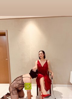 Mistress Norah in Dammam - Acompañantes transexual in Dammam Photo 18 of 18