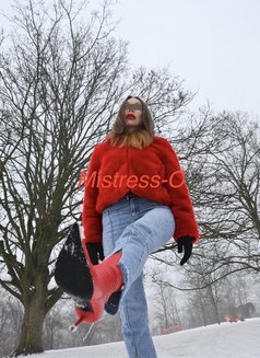 Mistress O - escort in Dresden Photo 22 of 24