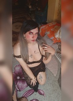 Mistress Perry - Acompañantes transexual in Cairo Photo 27 of 30