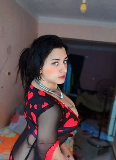 Mistress Perry - Acompañantes transexual in Cairo Photo 29 of 30