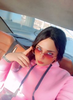 Mistress Perry - Acompañantes transexual in Cairo Photo 28 of 30