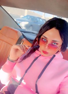 Mistress Perry - Acompañantes transexual in Cairo Photo 29 of 30