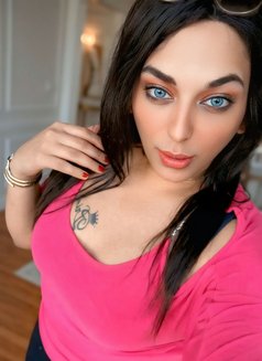 Mistress Perry - Acompañantes transexual in Cairo Photo 27 of 30